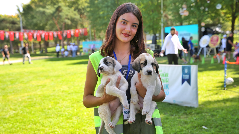 Bursa Büyükşehir Belediyesi’nden can dostlara şefkat eli
