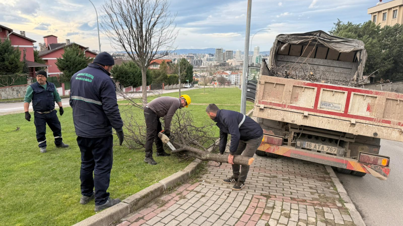Bursa’da şiddetli lodos: Belediye ekipleri devrilen ağaçlar için seferber oldu