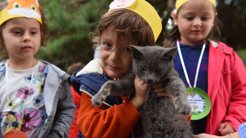Yıldırım’da sokak hayvanları için kış mesaisi