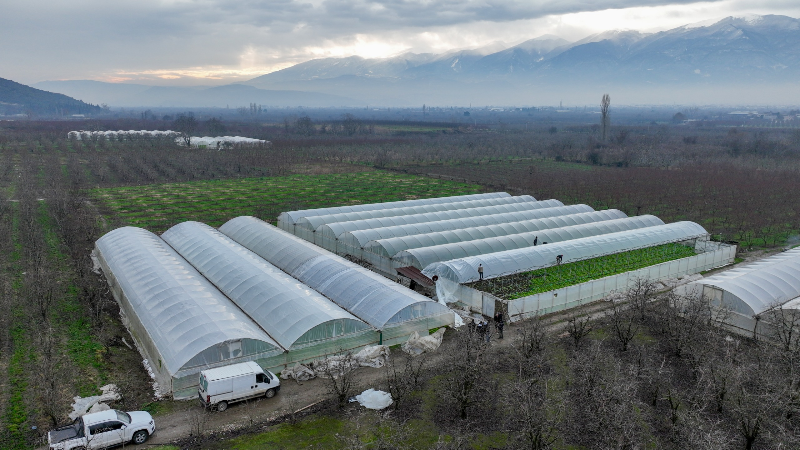 Büyükşehir’den Gürsulu üreticiye lodos desteği