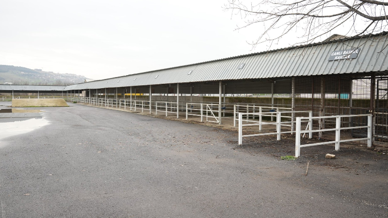 Yenişehir Hayvan Pazarı açıldı