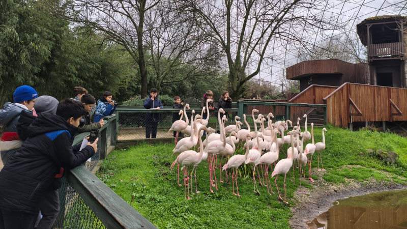 Çocuklar doğaya bilimsel gözle baktı