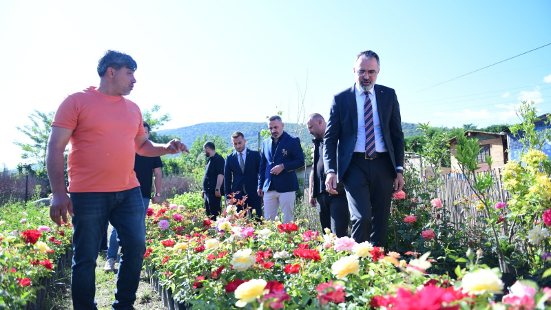 Kestel, Süs Bitkilerinde Dünya Markası Olma Yolunda