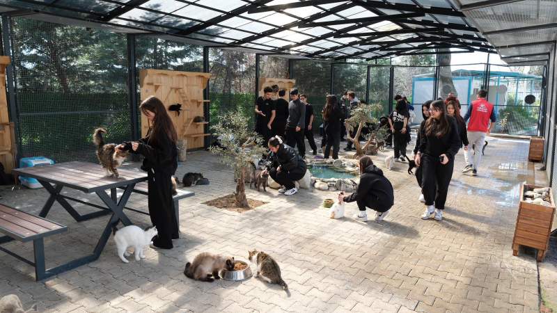 Yıldırım’da gençler ve patili dostlar bir araya geldi
