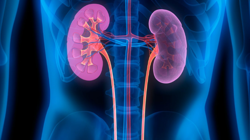 "Çoğu kişi hastalığının farkında bile değil"