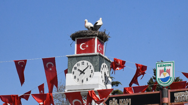 İznik’in sembol çifti Can ve Canan kavuştu