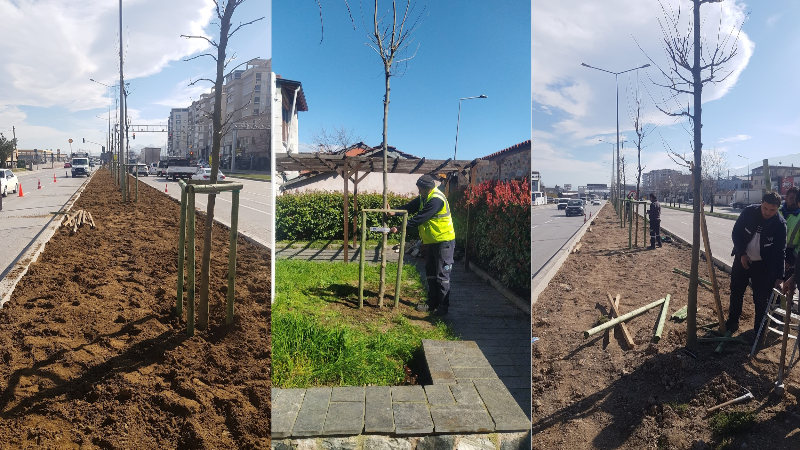Bursa’nın fethinin 700. yılına 700 çınar