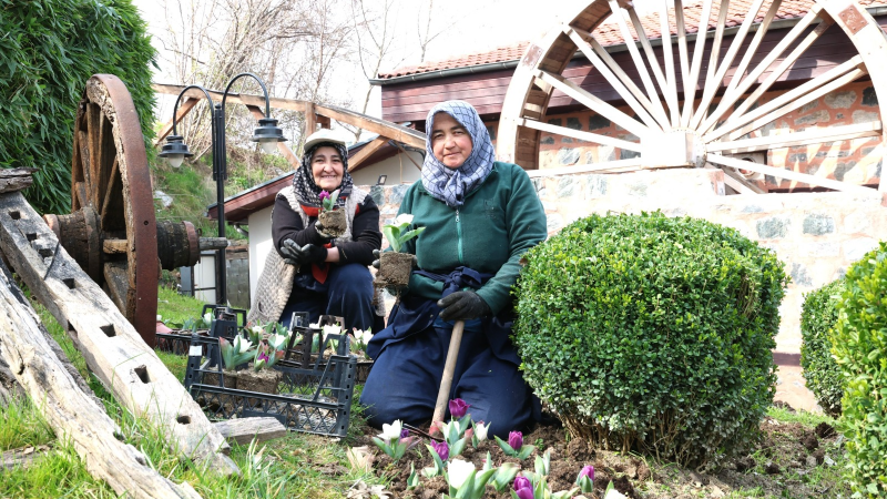 Osmangazi’de park ve refüjler bahar çiçekleriyle renklendi