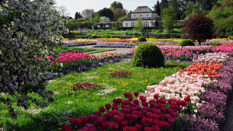 Münih Botanik Bahçesi... Doğaseverler için bir cennet