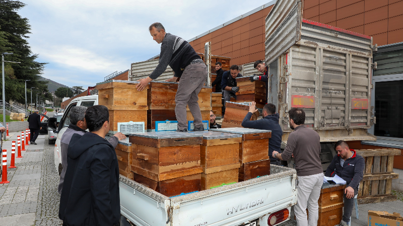 Arıcıların yüzü gülüyor: Büyükşehir’den 750 kovanlık dev katkı