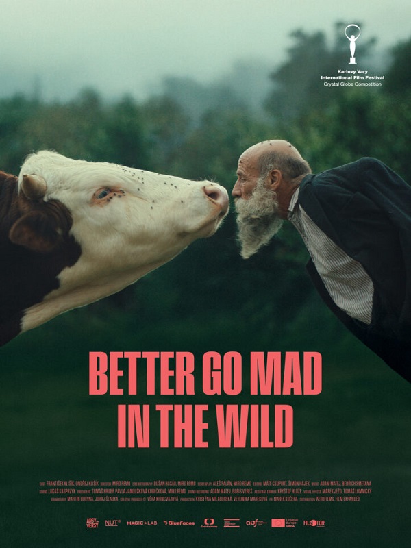 Festival - Doğada Delirmek Daha İyi