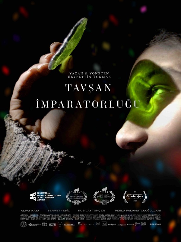 Festival - Tavşan İmparatorluğu