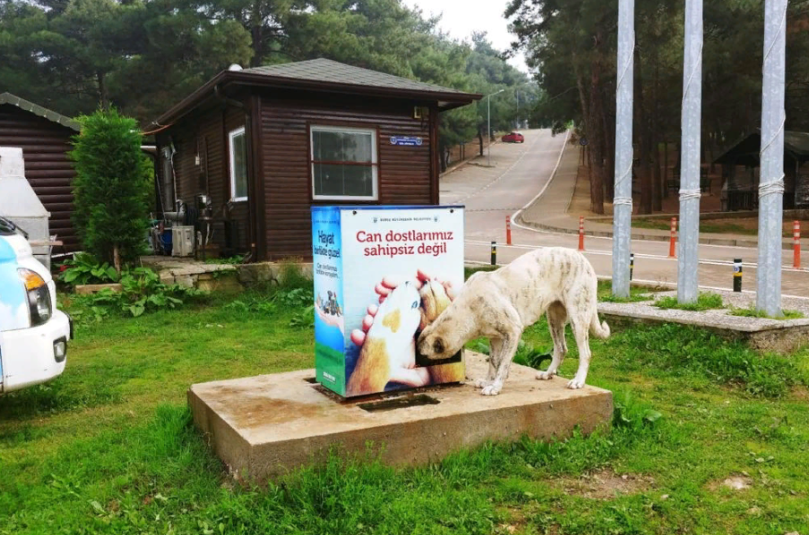 Bursa Büyükşehir Belediyesi